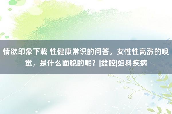 情欲印象下载 性健康常识的问答，女性性高涨的嗅觉，是什么面貌的呢？|盆腔|妇科疾病