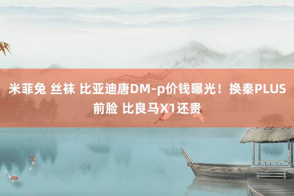 米菲兔 丝袜 比亚迪唐DM-p价钱曝光！换秦PLUS前脸 比良马X1还贵