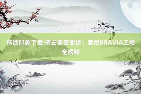 情欲印象下载 拂去奥密面纱！索尼BRAVIA工场全揭秘