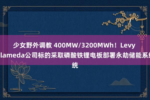 少女野外调教 400MW/3200MWh！Levy Alameda公司标的采取磷酸铁锂电板部署永劫储能系统