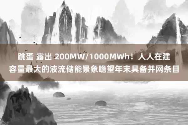 跳蛋 露出 200MW/1000MWh！人人在建容量最大的液流储能景象瞻望年末具备并网条目