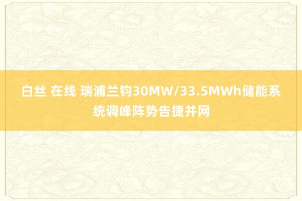 白丝 在线 瑞浦兰钧30MW/33.5MWh储能系统调峰阵势告捷并网