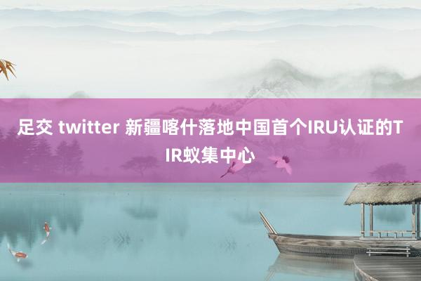 足交 twitter 新疆喀什落地中国首个IRU认证的TIR蚁集中心