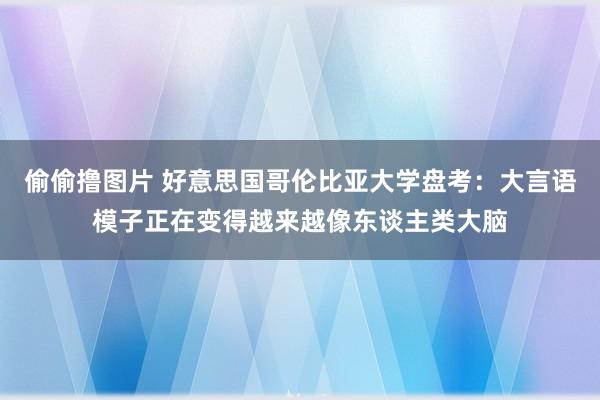 偷偷撸图片 好意思国哥伦比亚大学盘考：大言语模子正在变得越来越像东谈主类大脑