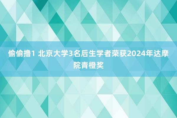 偷偷撸1 北京大学3名后生学者荣获2024年达摩院青橙奖